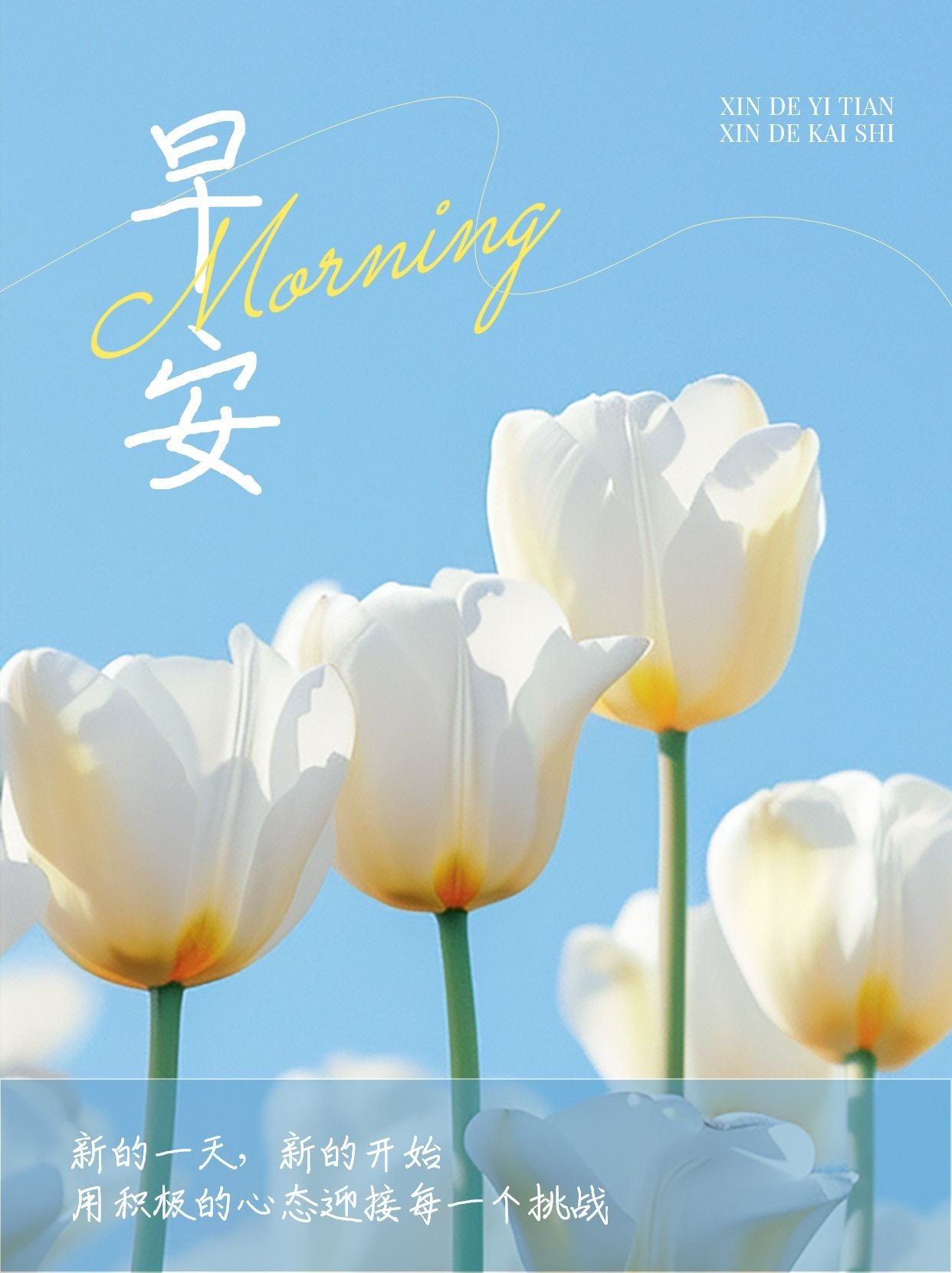早安情感文案日签小红书封面AIGC