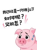 模板缩略图