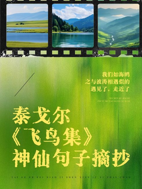 情感文案语录小红书封面aigc预览效果