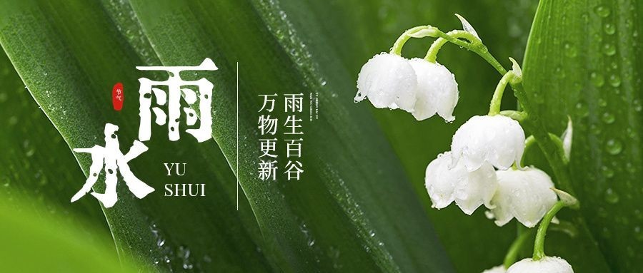 雨水节气祝福实景风公众号首图预览效果