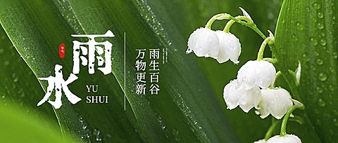 雨水节气祝福实景风公众号首图