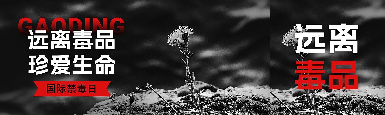 国际禁毒日宣传公众号首图