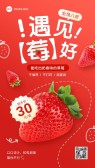 模板缩略图