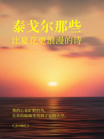 情感文案语录小红书封面