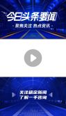 模板缩略图