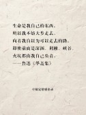 模板缩略图