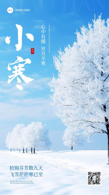 小寒节气祝福实景感手机海报预览效果