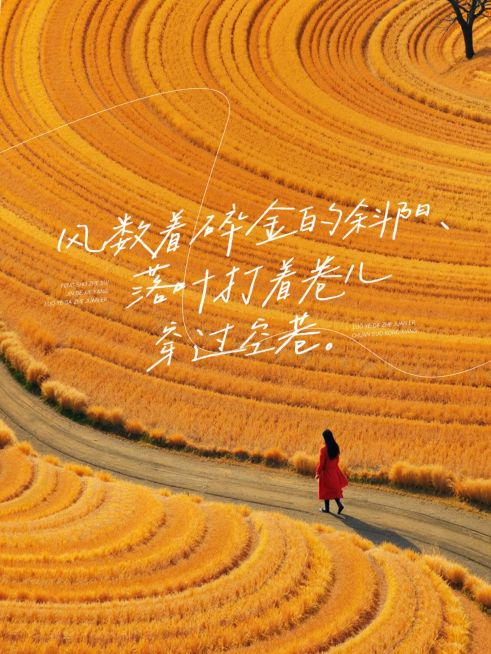 治愈系情感文案分享秋天氛围感实景排版小红书封面预览效果