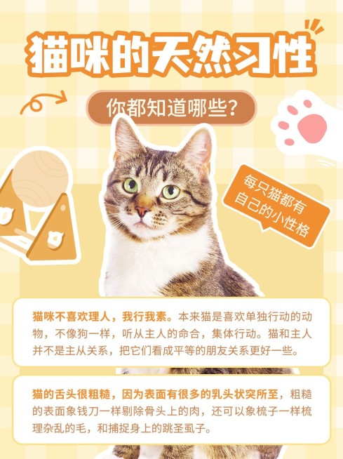 宠物知识科普小红书配图预览效果