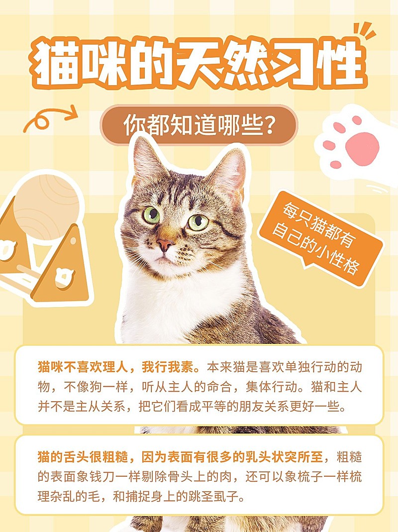 宠物知识科普小红书配图
