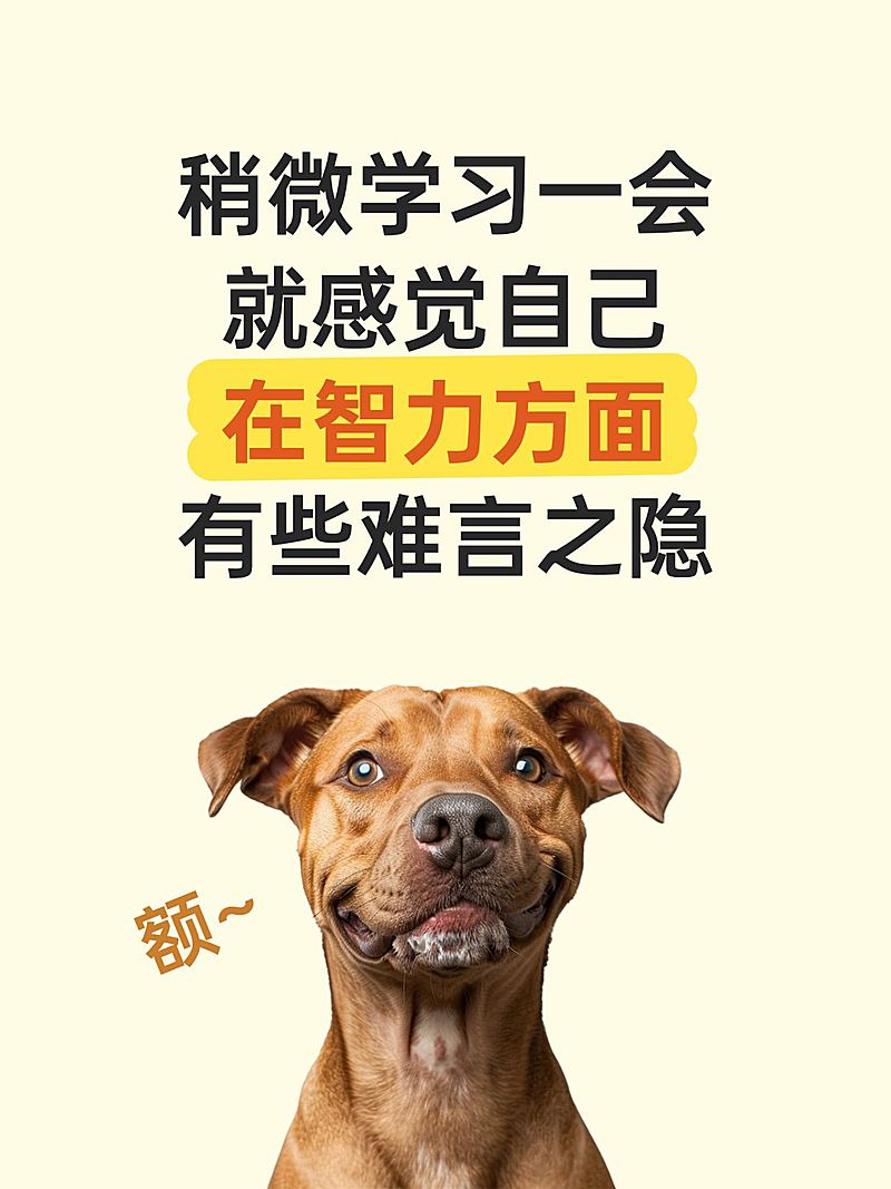 爆款吸睛大字梗图表情包小红书封面aigc