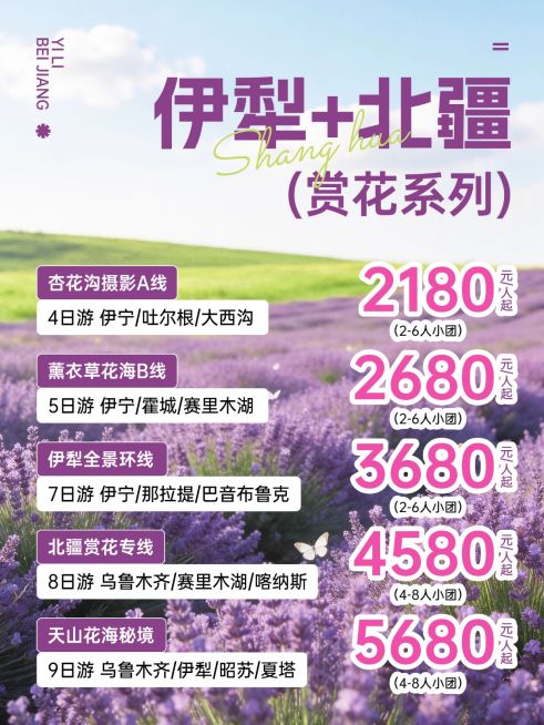 旅游出行伊犁北疆出行服务介绍小红书封面预览效果