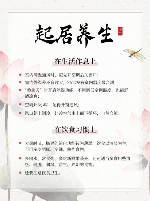 大暑节气科普中式感小红书套装小红书配图预览效果