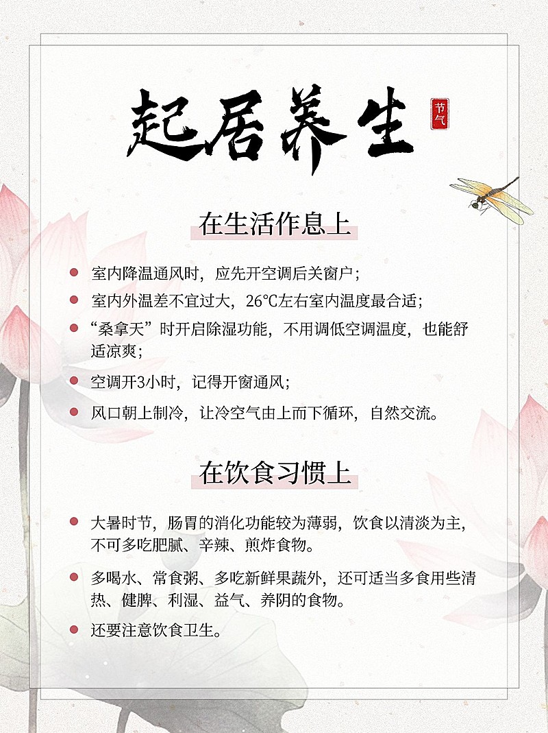 大暑节气科普中式感小红书套装小红书配图