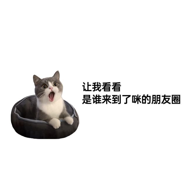 趣味猫咪抠图微信朋友圈封面aigc预览效果
