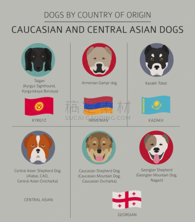狗,白色人种,非都市风光,中环,高加索山脉,亚洲,信息图表,哈萨克斯坦,图像,哈萨克人