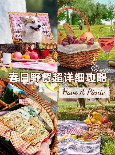 旅游出行野餐攻略小红书配图预览效果