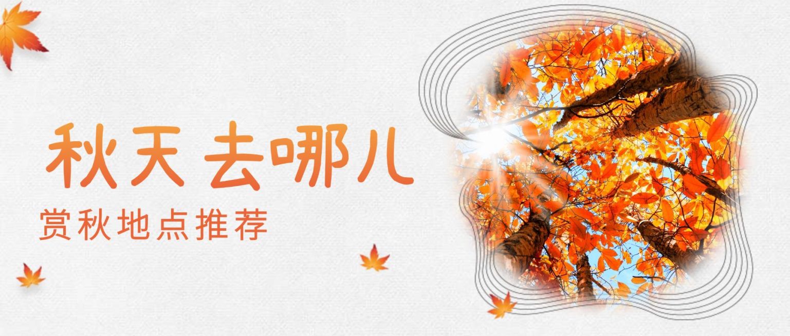 秋天去哪儿清新公众号首图预览效果