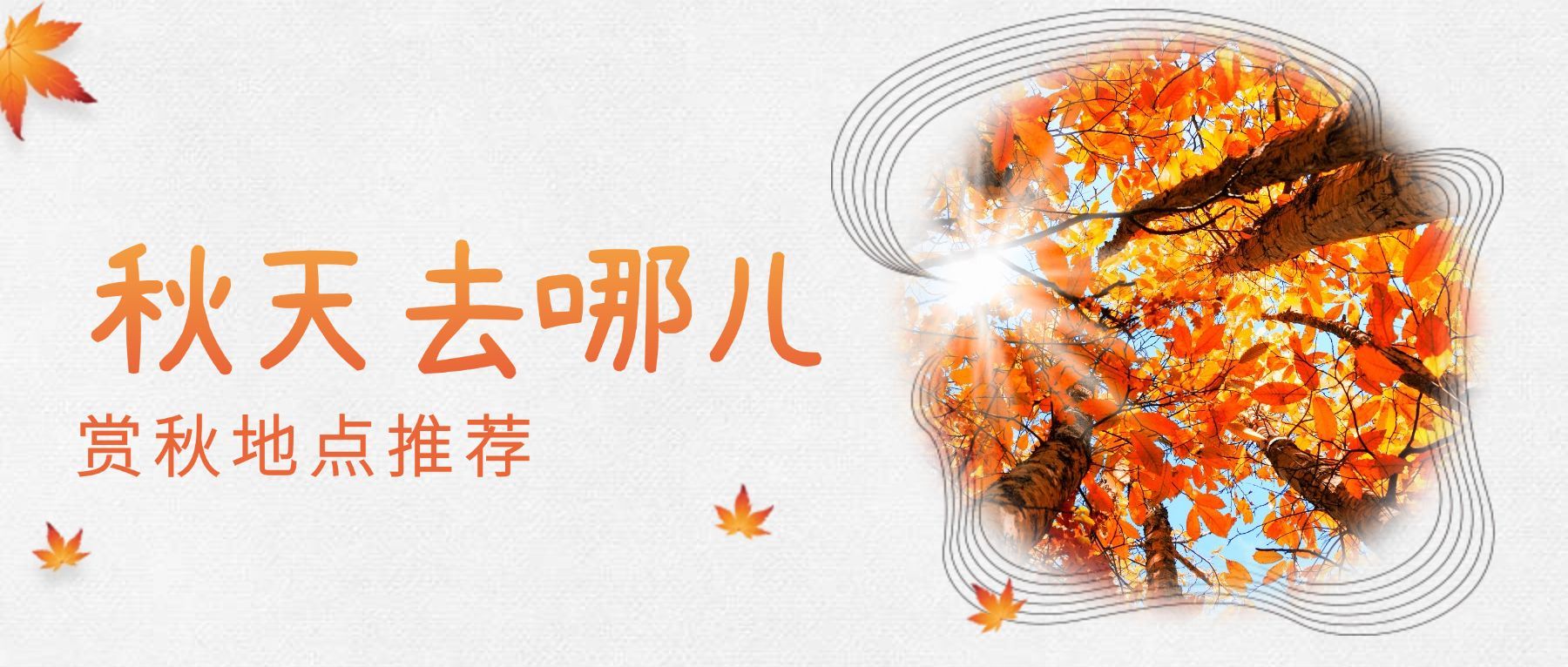 秋天去哪儿清新公众号首图