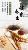 模板缩略图