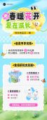 模板缩略图