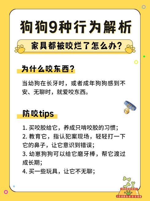 可爱萌宠知识科普小红书封面配图预览效果