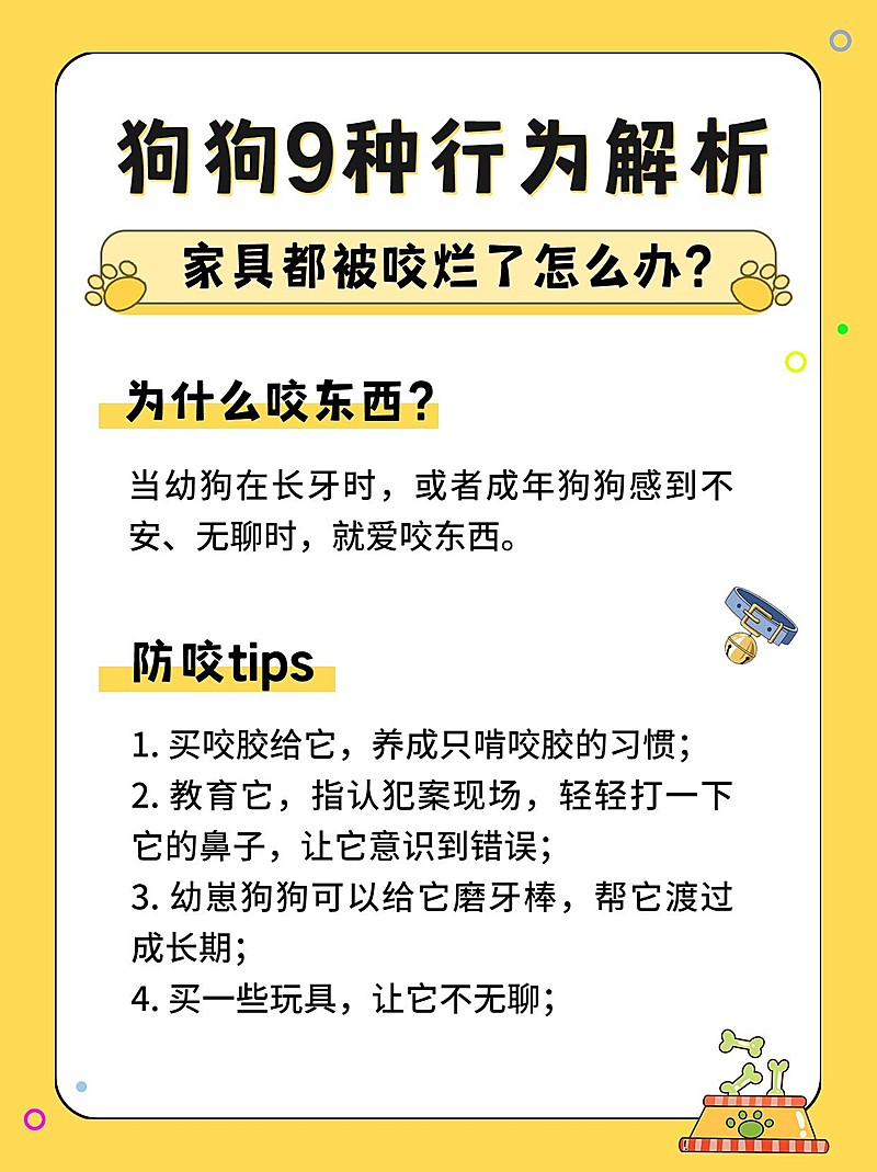 可爱萌宠知识科普小红书封面配图