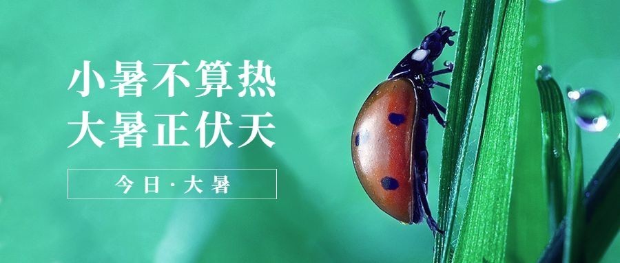 大暑节气祝福实景清新公众号首图预览效果