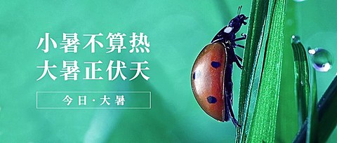 大暑节气祝福实景清新公众号首图