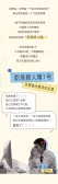 模板缩略图