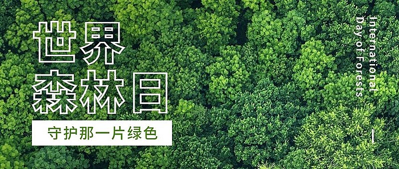 世界森林日实景公益公众号首图