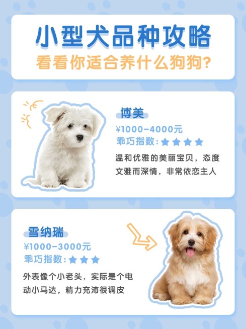 萌宠狗知识科普简约小红书封面配图预览效果