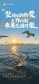 模板缩略图