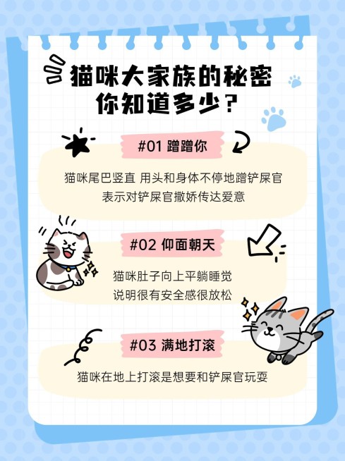 宠物猫咪知识科普小红书套装小红书配图预览效果