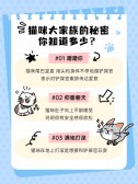 模板缩略图