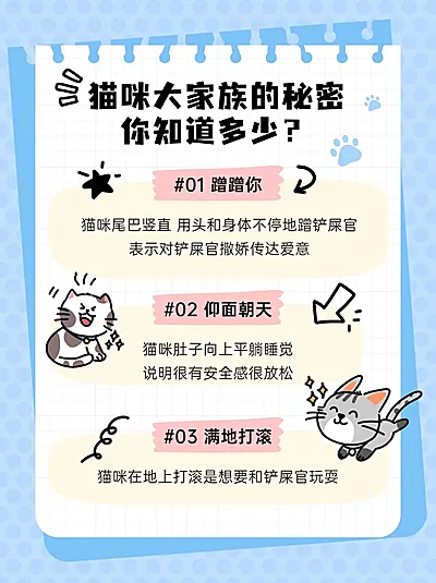 宠物猫咪知识科普小红书套装小红书配图