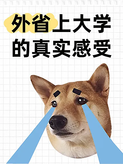 教育吸睛表情包梗图趣味分享小红书封面