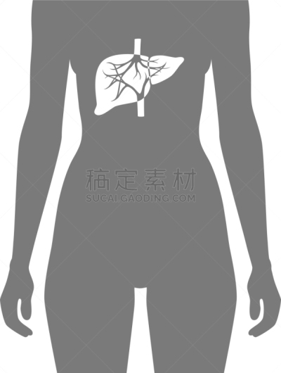 肝脏,胆囊,胆汁,人,女人,概念,顺序,科学,生病,硬化
