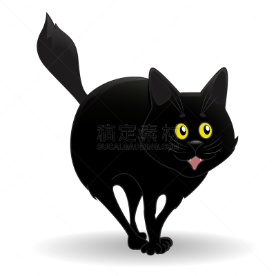 猫,黑色,可爱的,肖像,马尾,哺乳纲,自然美,动物,站