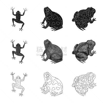野生动物,标志,藓沼,生物学,有毒物质,青蛙,动物,牛蛙,设计,布置