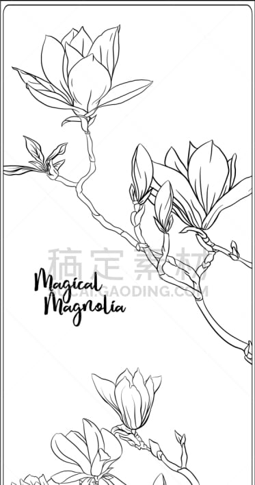 枝,玉兰类,轮廓,书,自然,清新,艺术,花蕾,叶子,春天