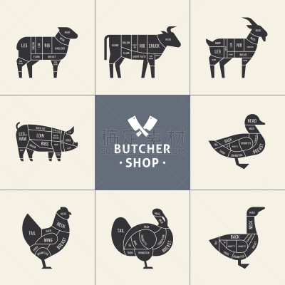 肉店,动物,计划书,菜单,部分,背景分离,食品,图表,猪,牛