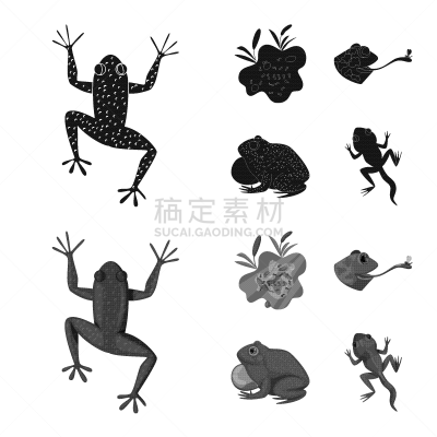 野生动物,藓沼,符号,生物学,有毒物质,动物,牛蛙,湖,舌头,两栖纲