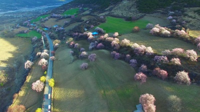 西藏风光