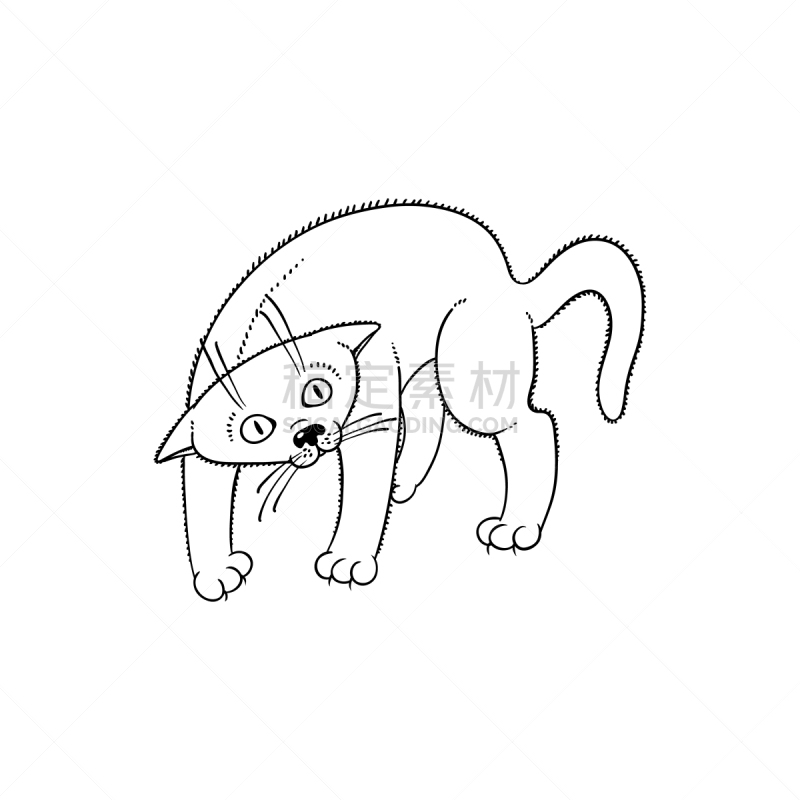 动物,草图,猫,矢量,动物背脊,分离着色,可爱的,动物主题,背景分离,肖像