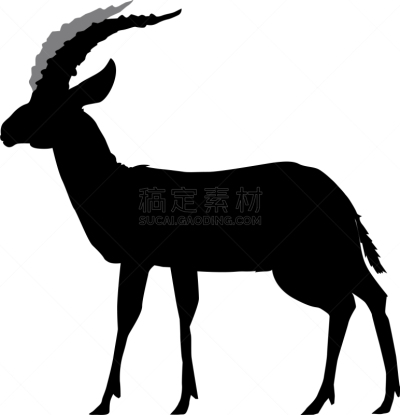 瞪羚,分离着色,白色,国内著名景点,非洲,野生动物,肖像,图像,公园,站
