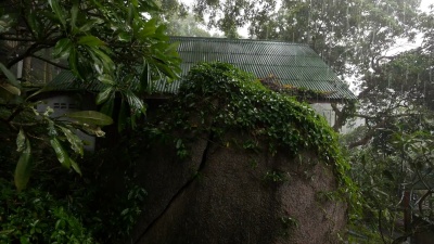 季风雨-陶岛