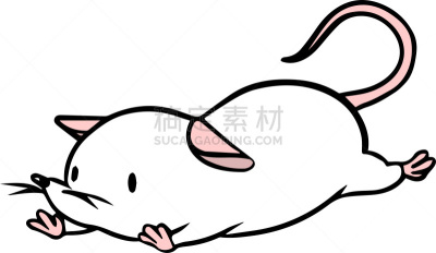 矢量,鼠,绘画插图,动物研究,科学实验,十二生肖,哺乳纲,动物,实验大白鼠,问号
