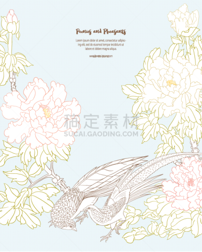 牡丹,枝,雉,商务,传统,贺卡,结婚请柬,模板,鸟类,花