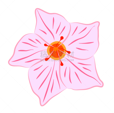 红蝉花,粉色,自然美,植物学,自然,图像,矢量,彩色图片,花,剪影